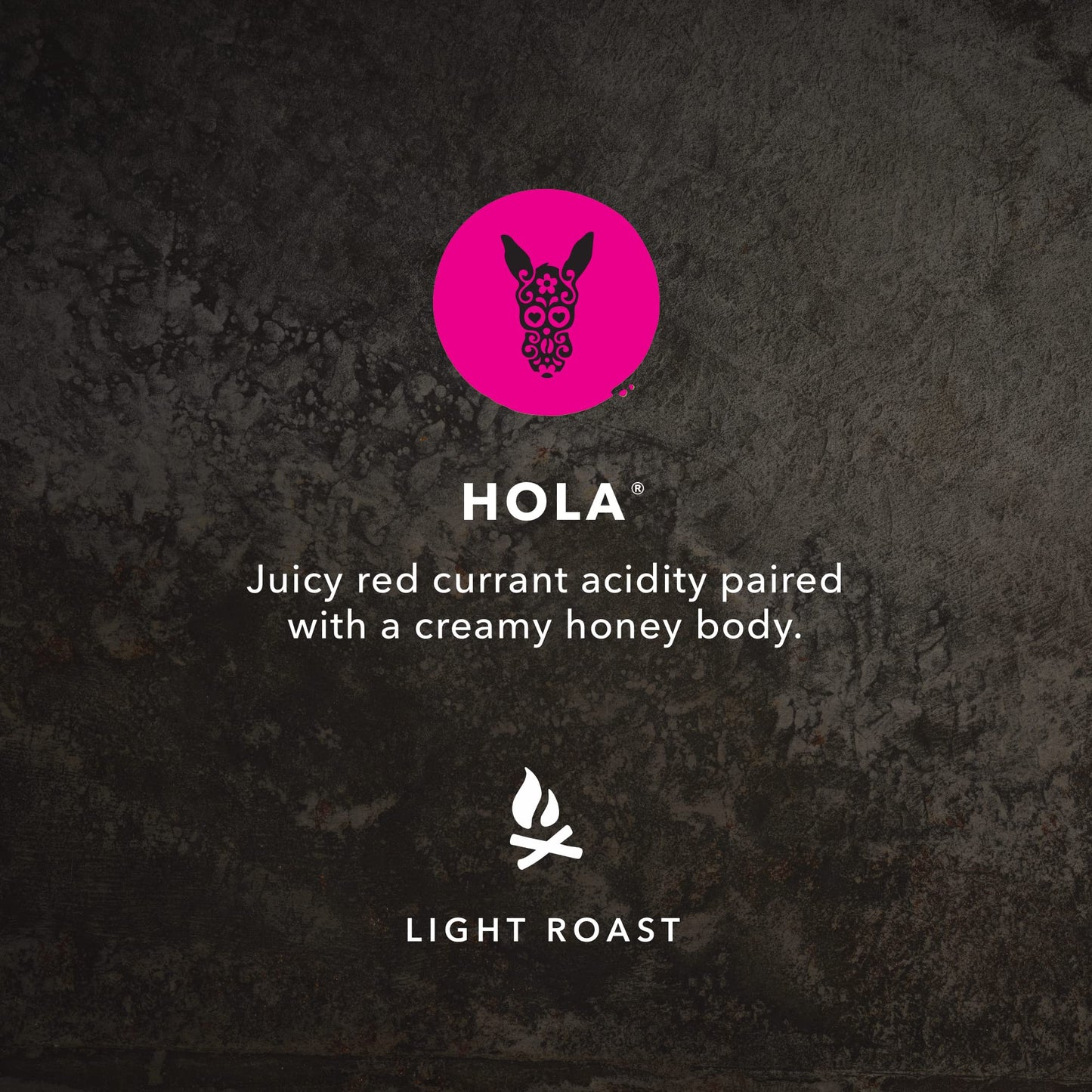 Kicking Horse Light Hola Ground Coffee 10 oz Pack of 6