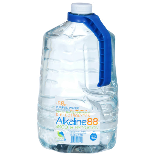 Alkaline88 Water Alkaline 8.8Ph 1 Gal (Pack of 4)